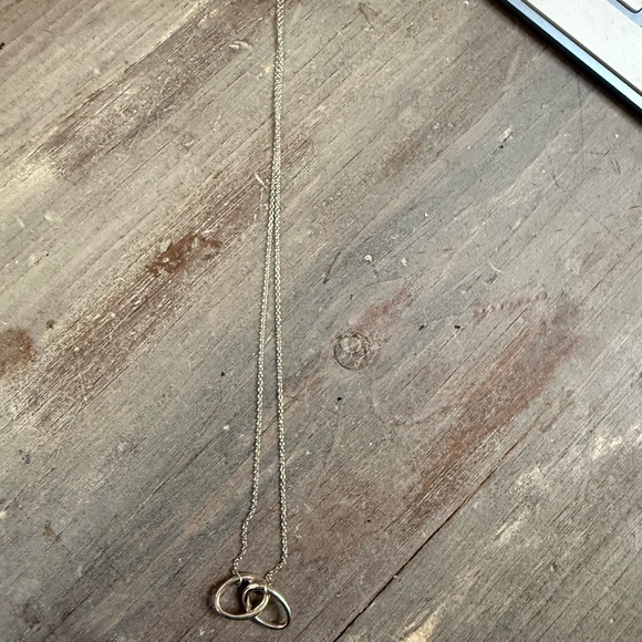 Tiffany & Co. Silver Necklace with Interlocking Rings